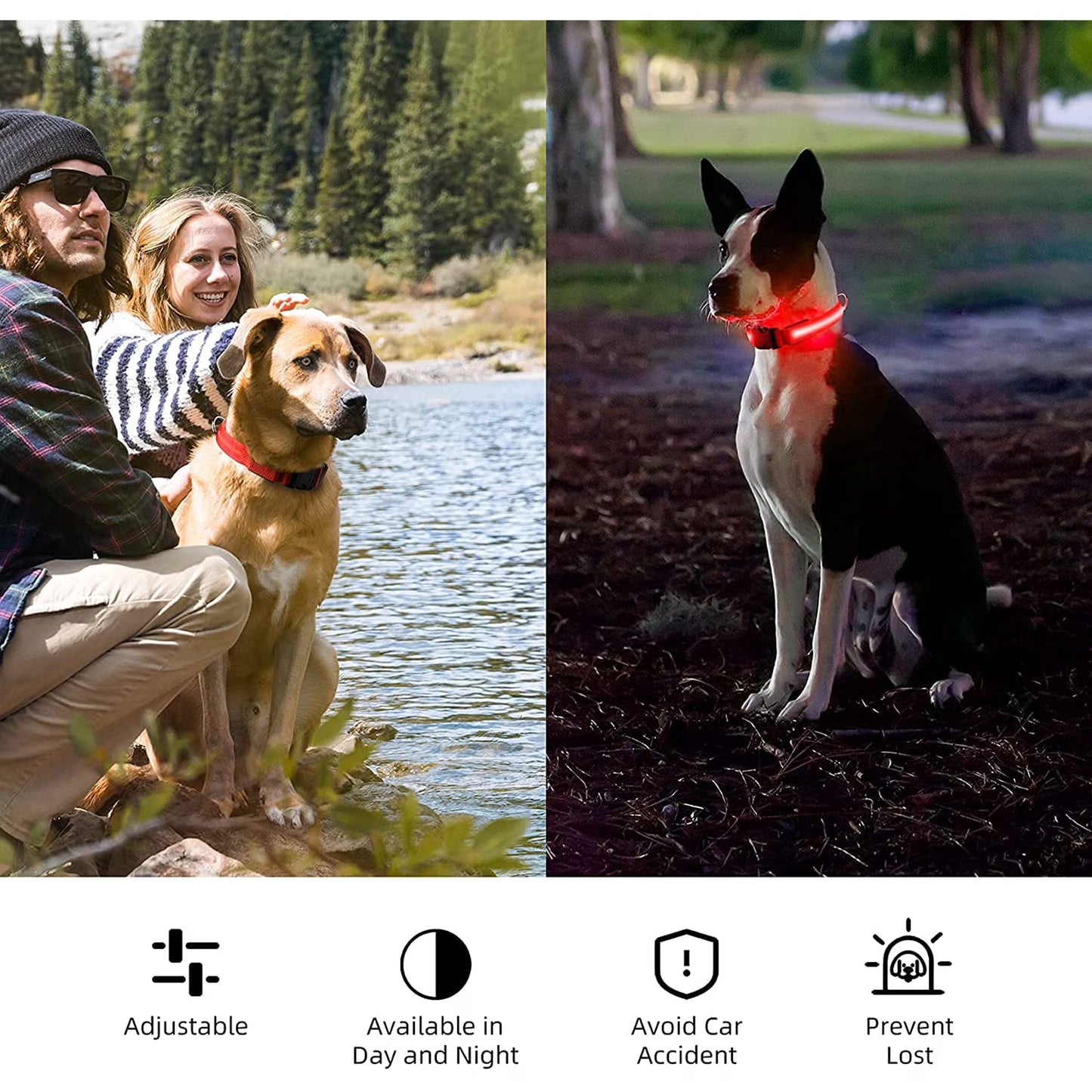 LED Dog Collar Waterproof Adjustable Light up Dog Collar Super Bright Safety Light Glowing Collars