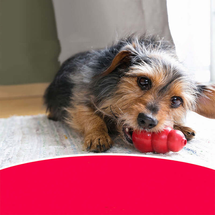 FREDOPETS Dog Bite Resistant Rubber Chew Toy