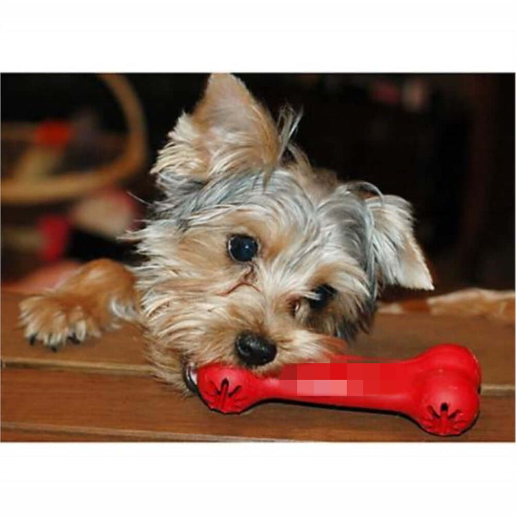 FREDOPETS Bite Resistant Rubber Dog Toy