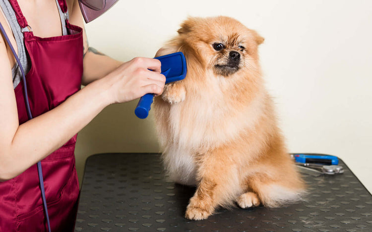 FREDOPETS Pets Grooming Collection