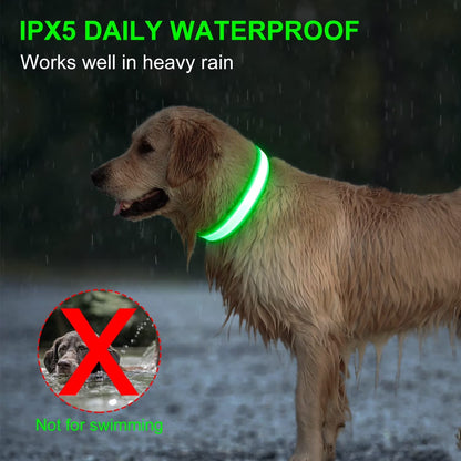 LED Dog Collar Waterproof Adjustable Light up Dog Collar Super Bright Safety Light Glowing Collars