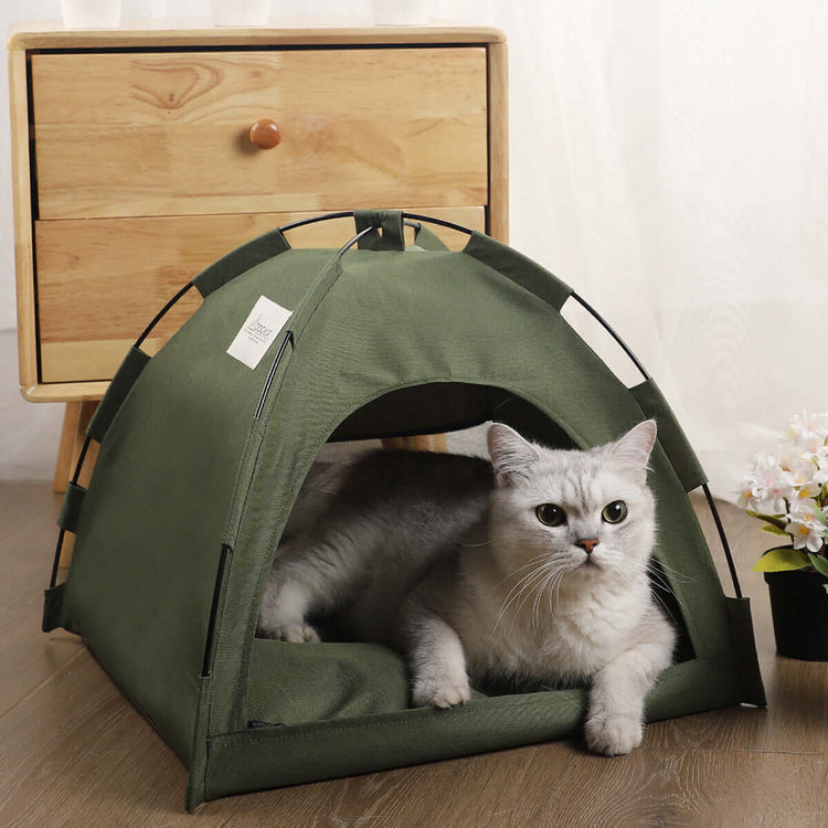 FREDOPETS Pets Bed Collection good