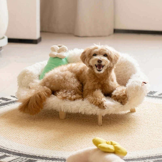 FREDOPETS Wooden Pet Bed for Dogs and Cats