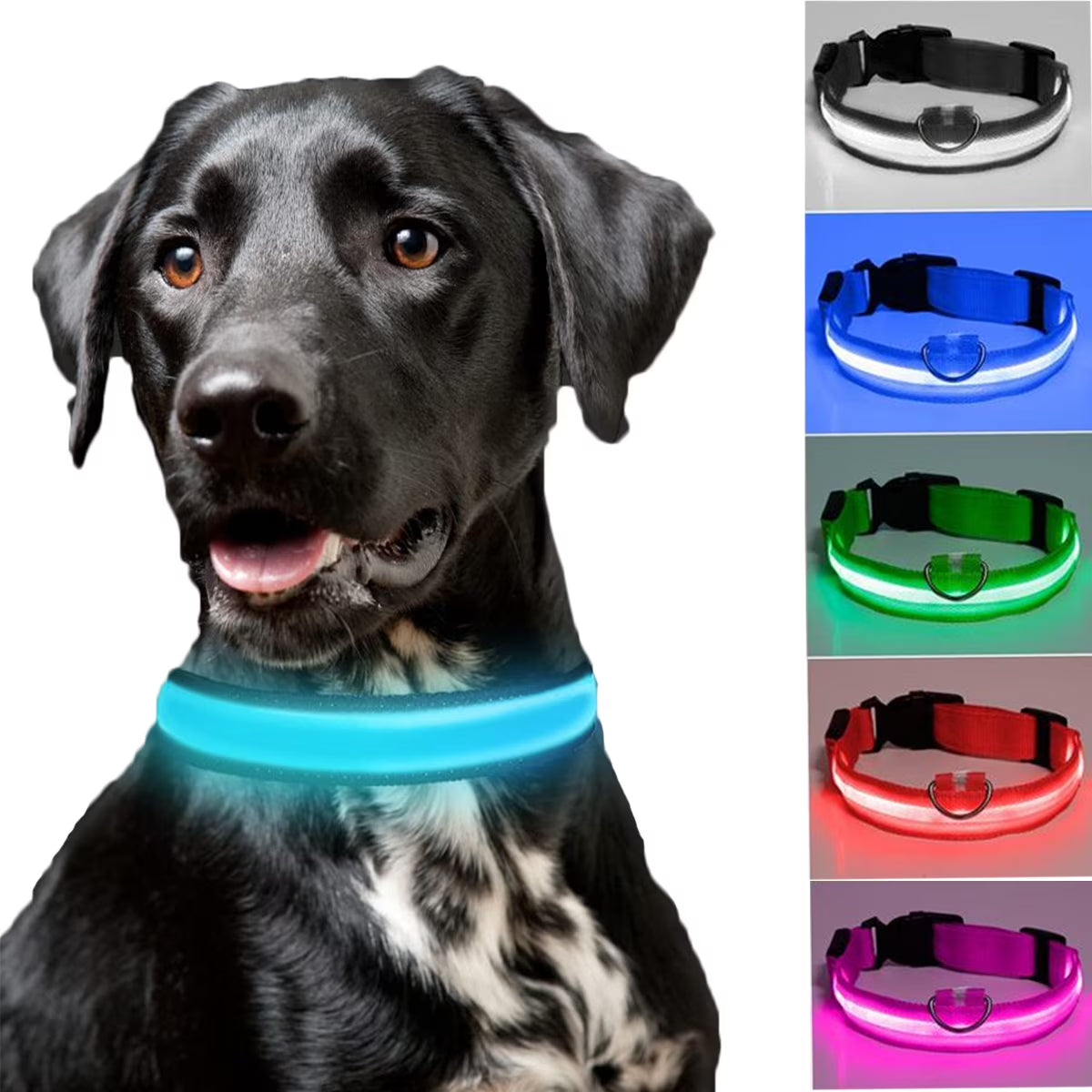 LED Dog Collar Waterproof Adjustable Light up Dog Collar Super Bright Safety Light Glowing Collars