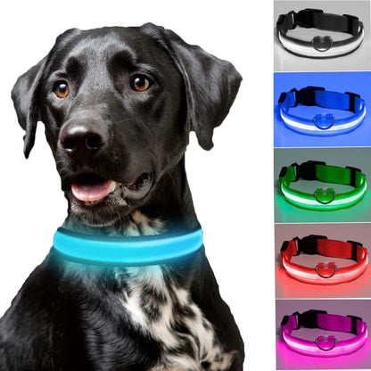LED Dog Collar Waterproof Adjustable Light up Dog Collar Super Bright Safety Light Glowing Collars