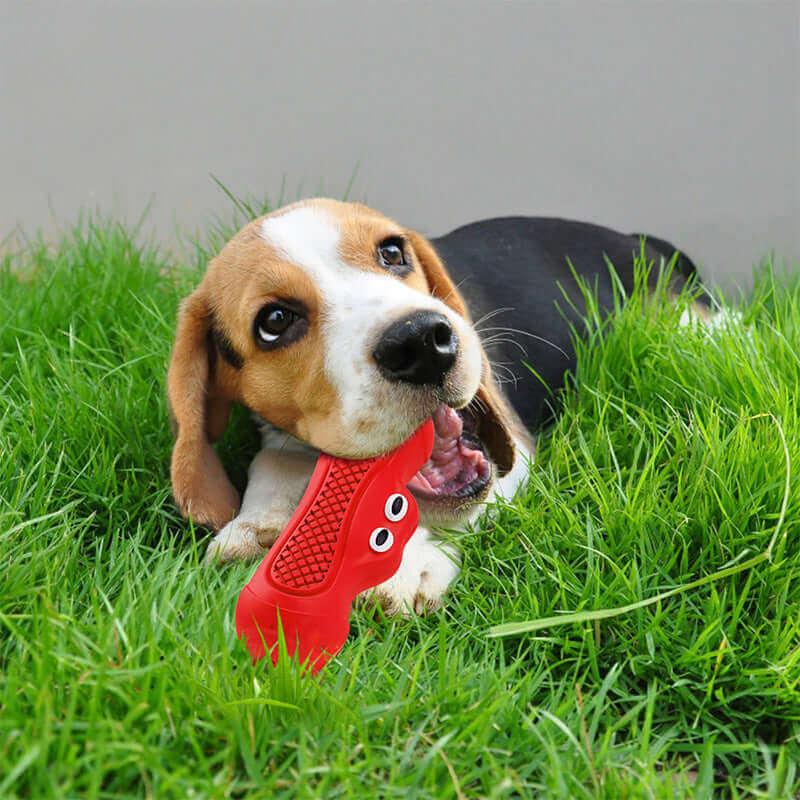 FREDOPETS Vocal Rugby Rubber Dog Chew Toy