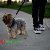 FREDOPETS 2-in-1 Pet Car Seat Belt Leash