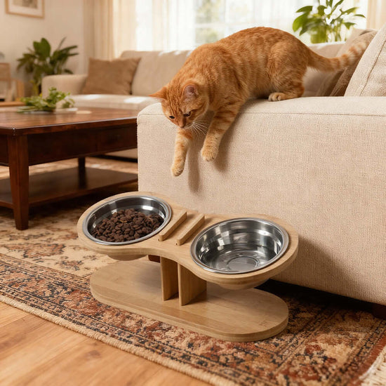 FREDOPETS Adjustable Tilted Pet Feeding Bowl Stand