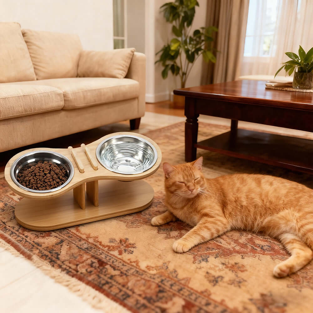 FREDOPETS Adjustable Tilted Pet Feeding Bowl Stand