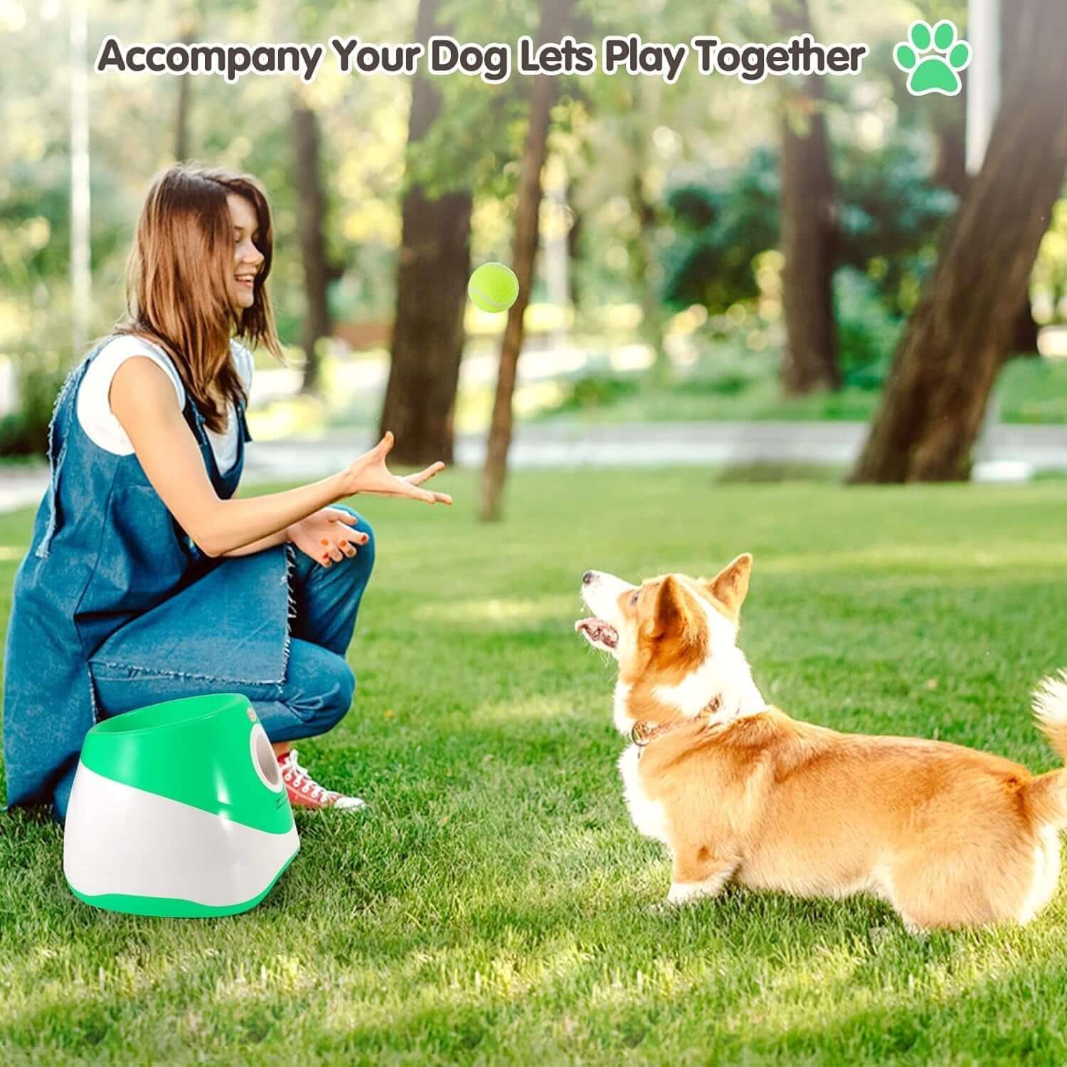FREDOPETS Automatic Dog Ball Launcher