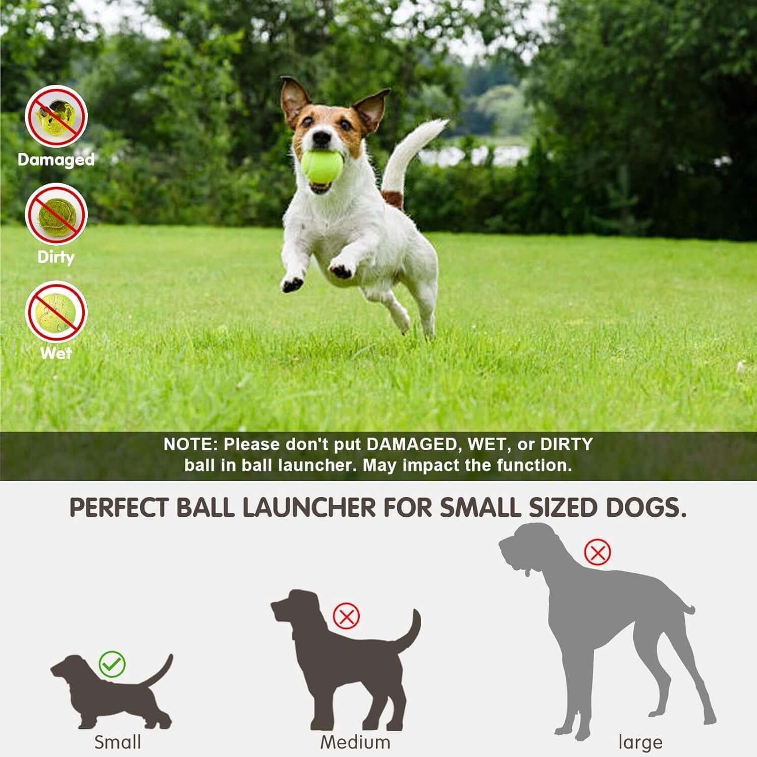 FREDOPETS Automatic Dog Ball Launcher