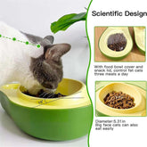 FREDOPETS Avocado Automatic Pet Feeder Bowl
