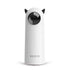 FREDOPETS Automatic Smart LED Laser Cat Toy