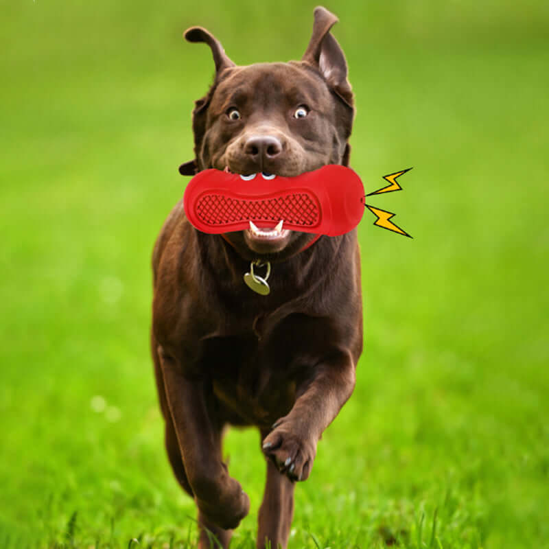 FREDOPETS Vocal Rugby Rubber Dog Chew Toy