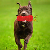 FREDOPETS Vocal Rugby Rubber Dog Chew Toy