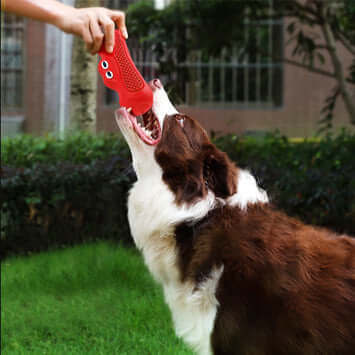 FREDOPETS Vocal Rugby Rubber Dog Chew Toy