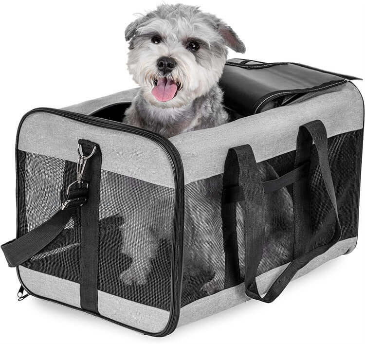FREDOPETS Breathable Mesh Pet Travel Backpack for Dogs and Cats