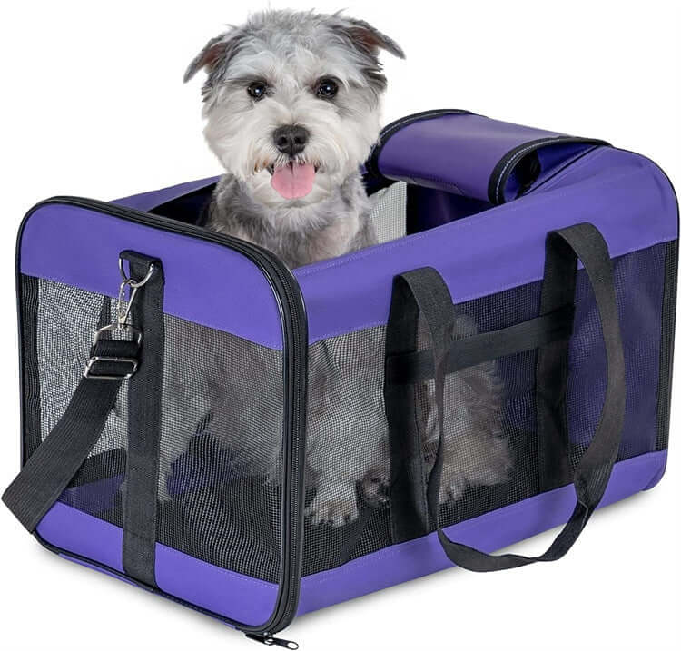 FREDOPETS Breathable Mesh Pet Travel Backpack for Dogs and Cats