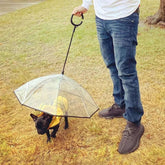 FREDOPETS Dog Umbrella