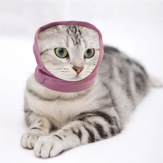 FREDOPETS Dog Grooming Anti-Noise Earmuffs