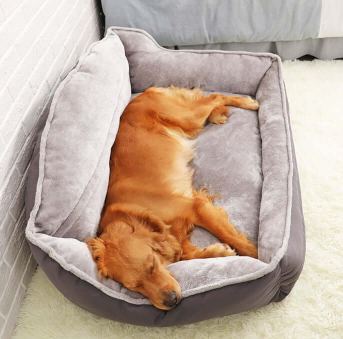 FREDOPETS Dog Sofa Bed