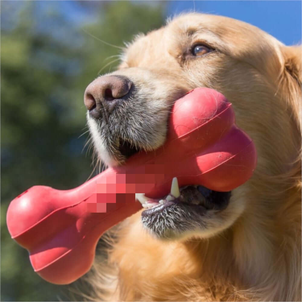 FREDOPETS Bite Resistant Rubber Dog Toy