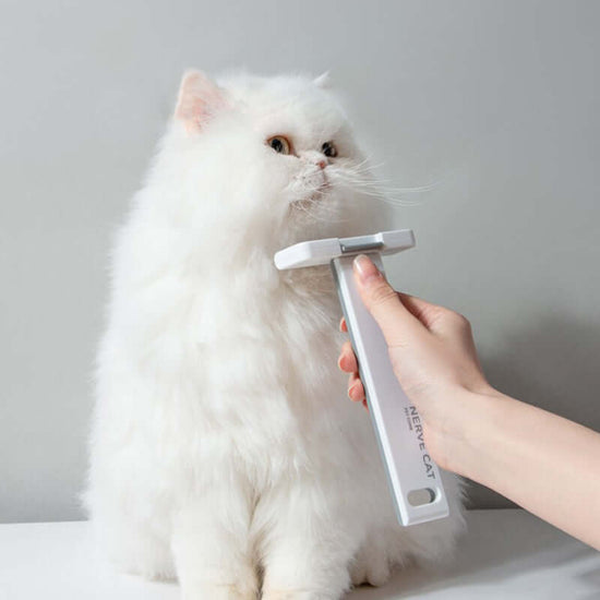 FREDOPETS Floating Hair Removal Pet Grooming Cat Supplies