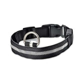 FREDOPETS LED Waterproof Light Up Dog Collar