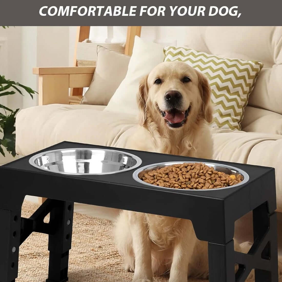 FREDOPETS Large Dog Raised Feeding Station