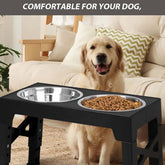 FREDOPETS Large Dog Raised Feeding Station