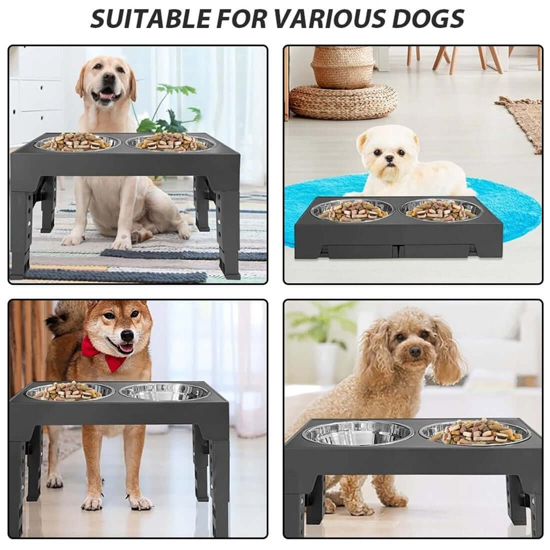 FREDOPETS Large Dog Raised Feeding Station