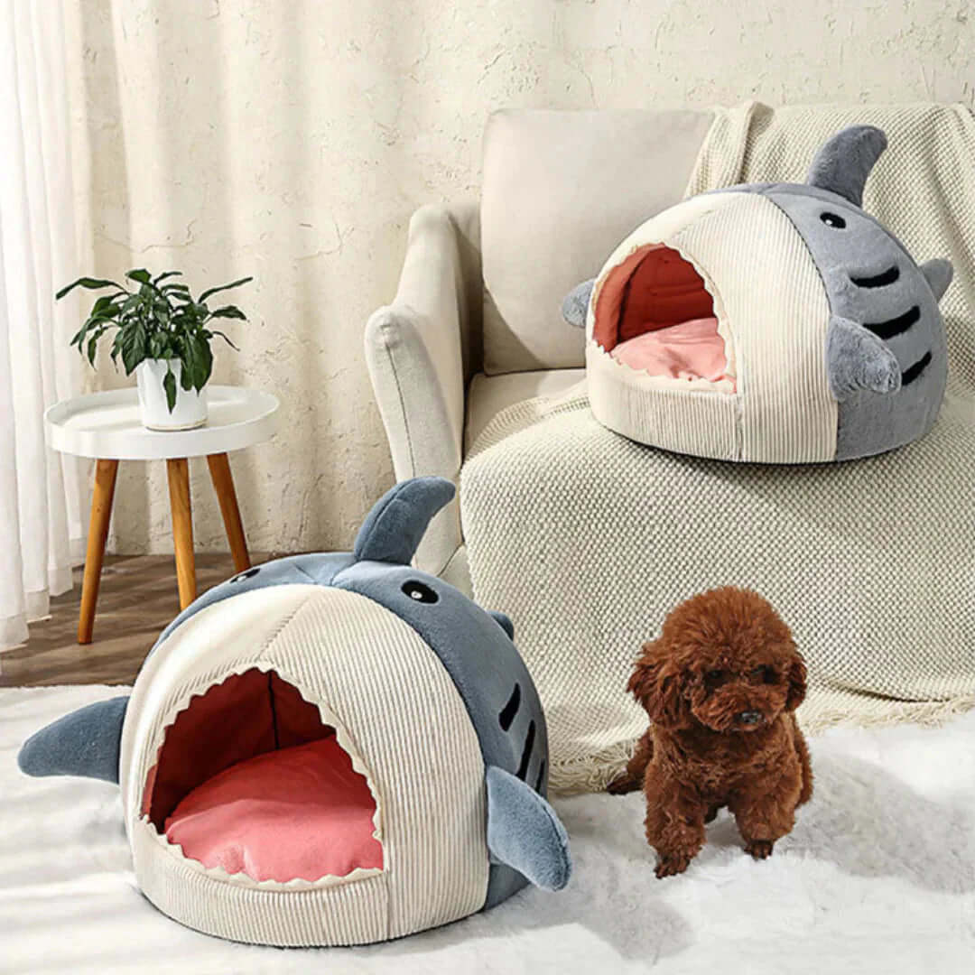 FREDOPETS Luxury Plush Shark Pet Bed