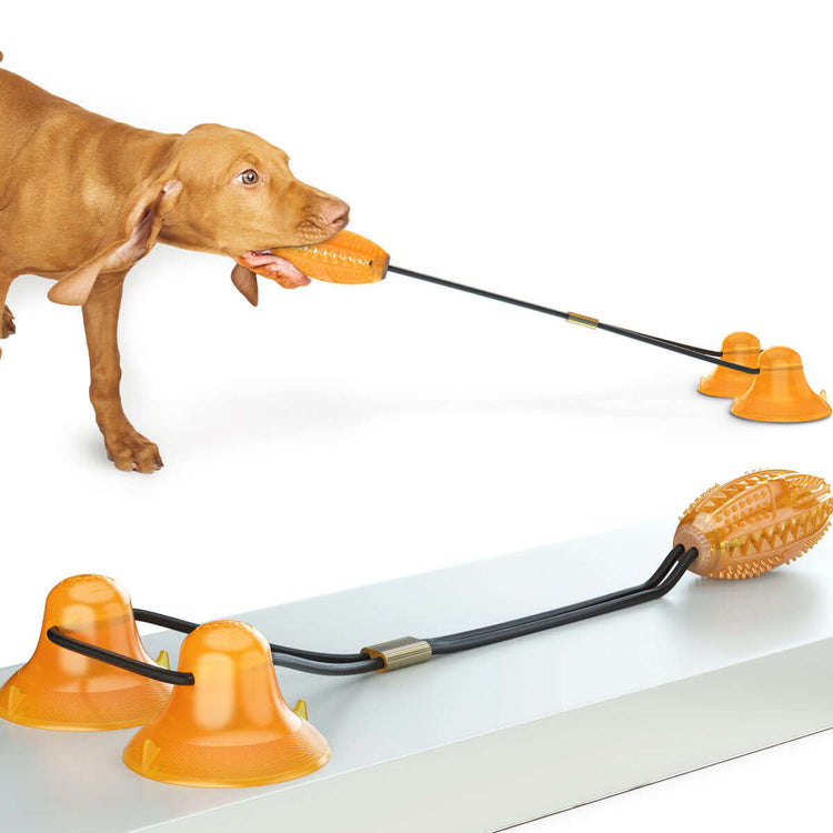 FREDOPETS Double Tug Rope Suction Cup Dog Molar Toy