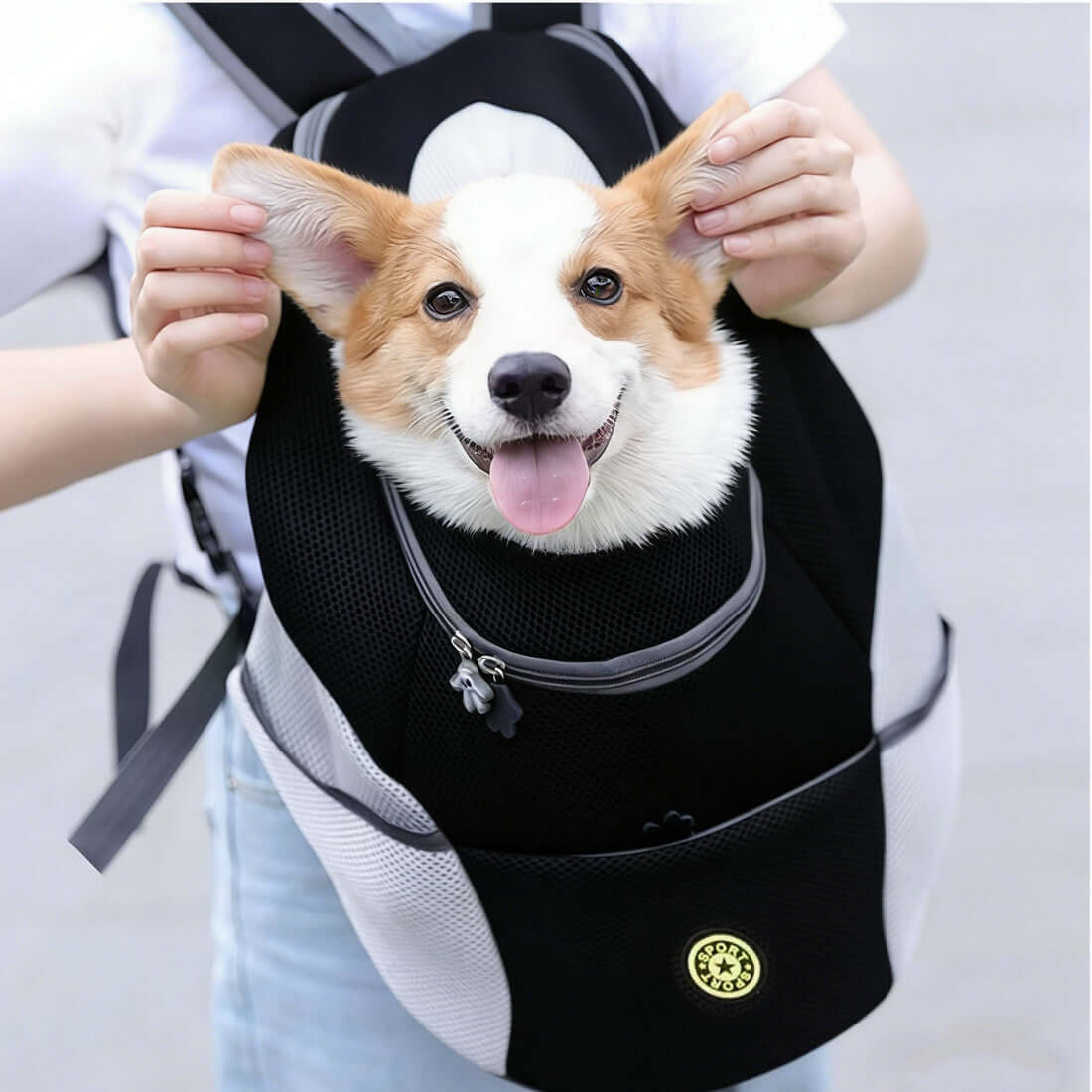FREDOPETS Breathable Mesh Pet Travel Backpack for Dogs and Cats