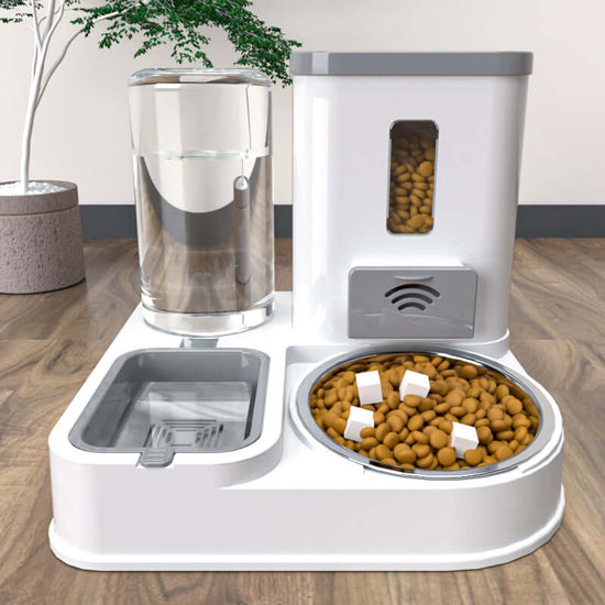 FREDOPETS Pet Feeding and Drinking Station Bowl