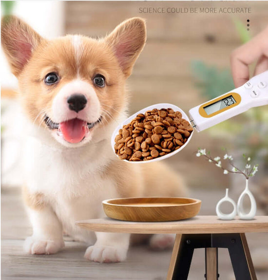 FREDOPETS Digital Pet Feeding Weighing Spoon