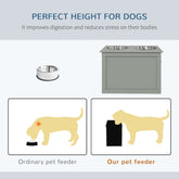 FREDOPETS Raised Pet Feeding Station with Bowls