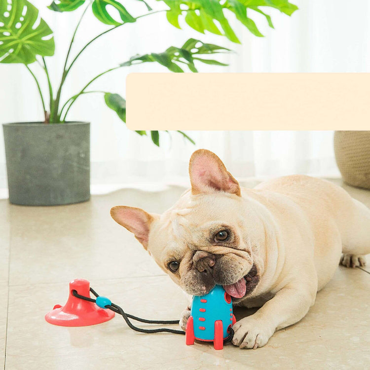 FREDOPETS Rocket Dog Treat Dispensing Toy