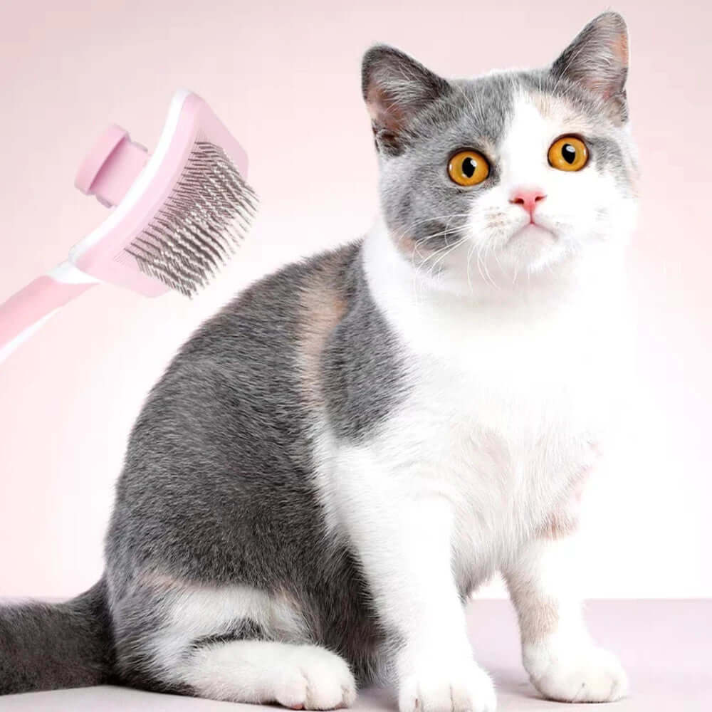 FREDOPETS Self Cleaning Slicker Brush