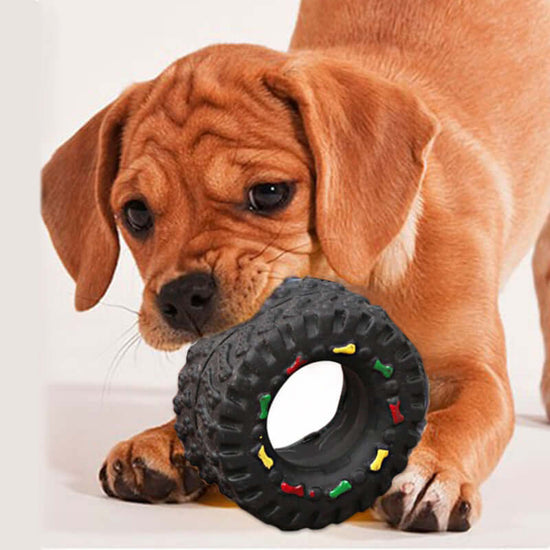 FREDOPETS Small Tire Squeaky Dog Toy
