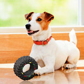 FREDOPETS Small Tire Squeaky Dog Toy