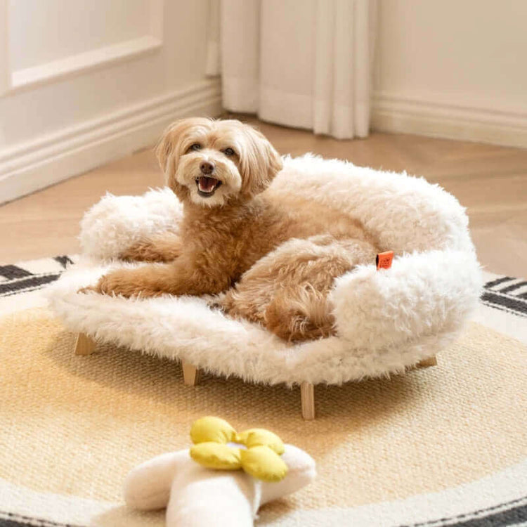 FREDOPETS Wooden Pet Bed for Dogs and Cats