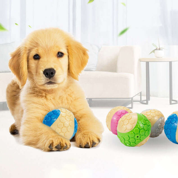FREDOPETS Pets Toys Collection